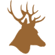 Deer Hunting