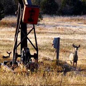 Hunting Land Photo Album