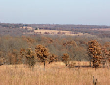 Kansas hunting land