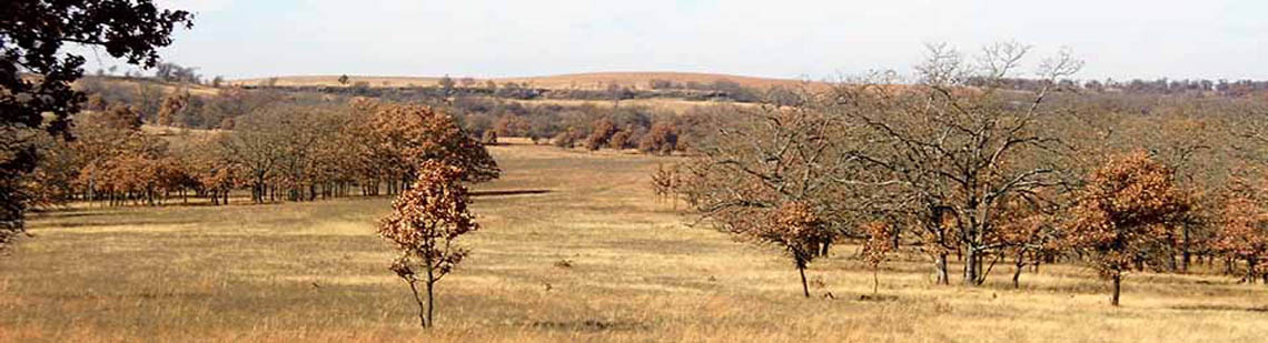 Fertile farm land