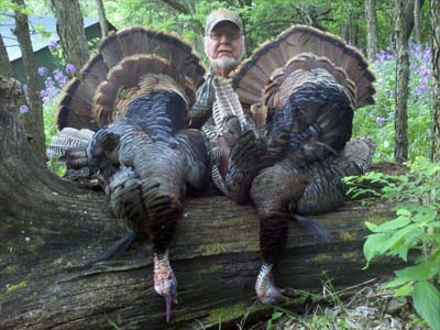 trophy rio grande turkey